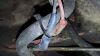 20170409_175627_resized.jpg
