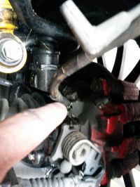 20170603_155341.jpg