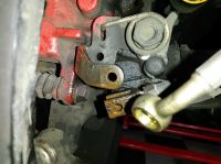 20170604_094239.jpg