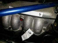 20170604_095939.jpg