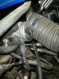 20170604_103210.jpg