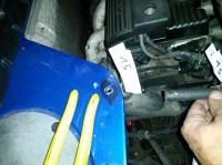20170604_104420.jpg