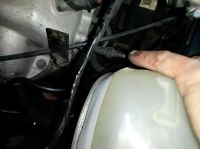 20170604_105105.jpg