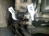 20170605_092318.jpg