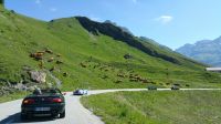 20170617_101644.jpg