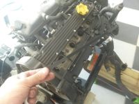 20170623_133834.jpg