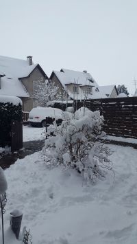 20180207_113943.jpg