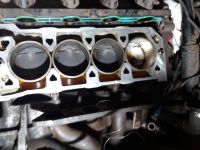 20180316_062023.jpg