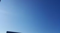 20180608_084157.jpg