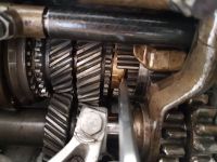 20180704_110855.jpg