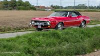 2019-05-05_Oldtimers-37.jpg