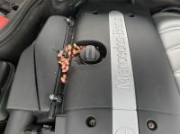 20190324_155828.jpg