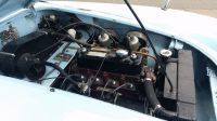 20190608_102824.jpg