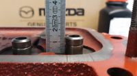 20210214_110550_281024x57629.jpg