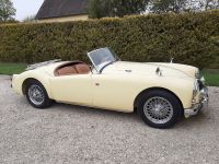 Nom du fichier=20210501_100536_28229.jpg
Taille du fichier=574Ko
Dimensions : 1280x960
Ajouté le : 13 Mai 2021 20210501_100536_28229.jpg