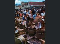 24365A2B-F458-4498-ADCA-3C908A4F85B0.png