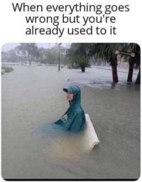 33~0.jpg