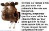 Nom du fichier=34464_1427401577207_1597845701_31009432_3891312_n.jpg
Taille du fichier=53Ko
Dimensions : 715x453
Ajouté le : 28 Août 2010 34464_1427401577207_1597845701_31009432_3891312_n.jpg