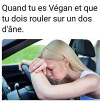 Nom du fichier=474C0DFD-20D3-4665-BDFB-32CC4EB7DEBA.jpeg
Taille du fichier=96Ko
Dimensions : 612x633
Ajouté le : 05 Octobre 2019 474C0DFD-20D3-4665-BDFB-32CC4EB7DEBA.jpeg