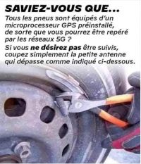 5AE34509-6FA6-44E4-AB8B-FFE538F81ACA.jpeg