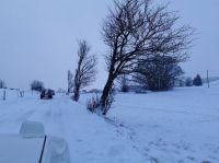 5B962EB0-F233-4D7C-808F-19FF2E8D34BD.jpeg