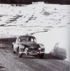 60montecarlo130wardcotten1.jpg