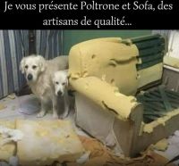 78008ACB-9972-4843-938D-3607AFA42218.jpeg