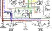 81FE6E4C-C701-4DB7-9941-D1A96B77B70C.jpeg