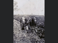 82FC54FD-A876-4BAC-8900-6A45A1A2EDEE.png