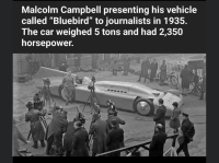 83A22179-737D-4D8A-AF95-88128C544F94.png