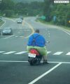 93_motard.jpg