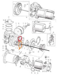 97098D91-B3B5-4F21-9158-DFC0DE1089F3.jpeg