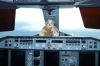 A380forum.JPG