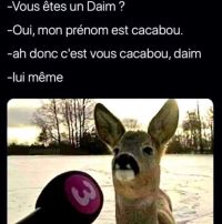 Nom du fichier=AAB66916-0D9E-4CEE-83FE-A1C37919E032.jpeg
Taille du fichier=240Ko
Dimensions : 1258x1274
Ajouté le : 11 Août 2020 AAB66916-0D9E-4CEE-83FE-A1C37919E032.jpeg