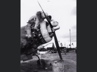 ACFEF9BE-5BB5-45F5-972D-1852D3FE9980.png
