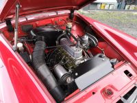 ANP_21122018_3.jpg