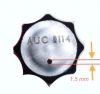 AUC8114.jpg