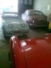 AUSTIN_HEALEY2.jpg