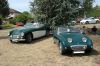 AUSTIN_HEALEY_3000-FROG.jpg