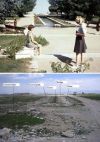 Afghanistan-1970-vs-2000.jpg