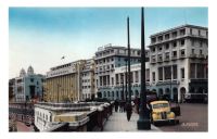 Alger_annees_cinquante.jpg