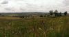Aubrac.jpg