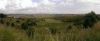 Aubrac_28329~0.jpg