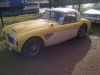 Austin_Healey_bicolors.jpg
