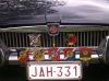 BADGES.jpg