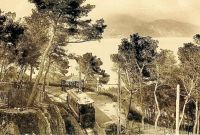 BC200300-961C-4A36-AFF3-F1AF7AABF96C.jpeg