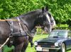 BELOEIL  ELEGANCE 2005 15 MAI 018.jpg