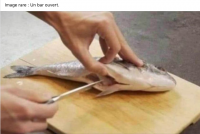 Bar.png