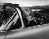 Bardot_28129.jpg