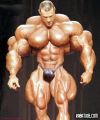 Body.jpg